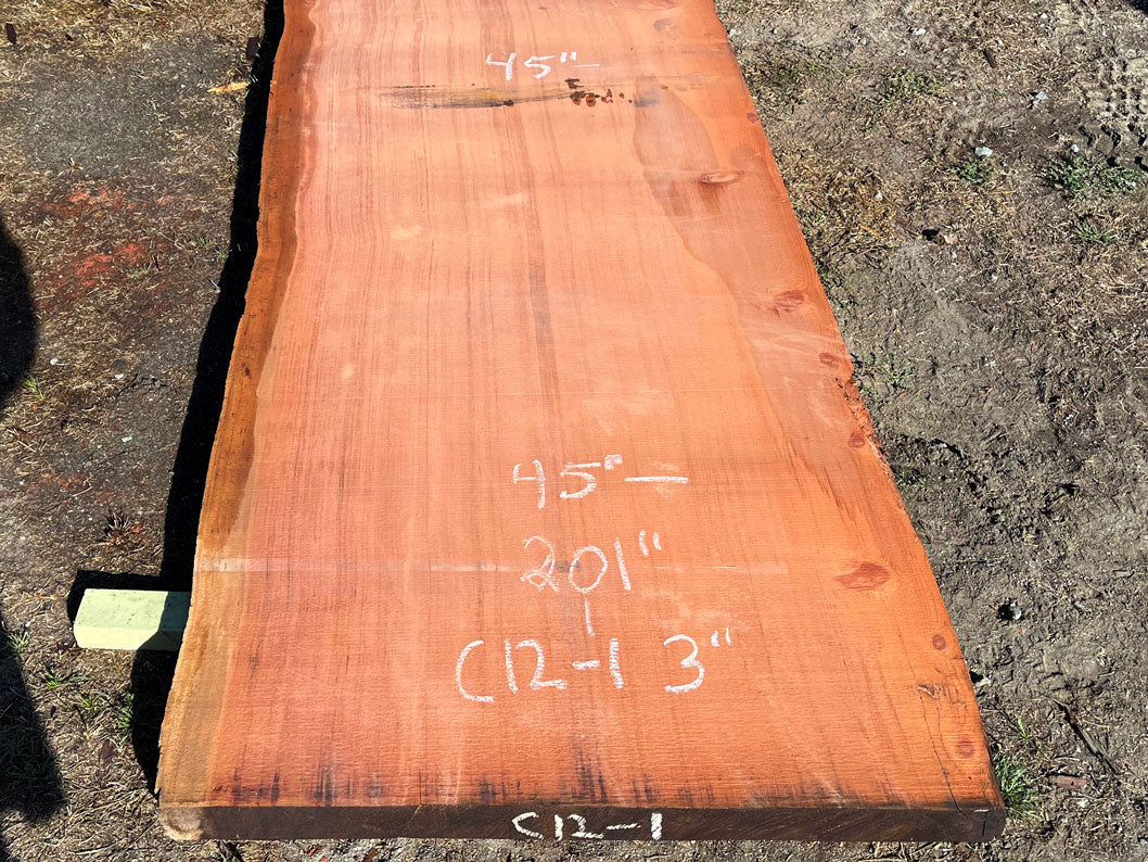 Giant Sequoia Live Edge Slab – 16.75' x 45" x 2.5" – Old Growth, Air-Dried – #C12-1