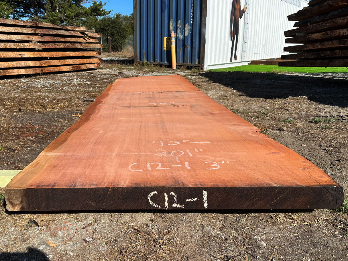 Giant Sequoia Live Edge Slab – 16.75' x 45" x 2.5" – Old Growth, Air-Dried – #C12-1