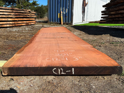 Giant Sequoia Live Edge Slab – 16.75' x 45" x 2.5" – Old Growth, Air-Dried – #C12-1