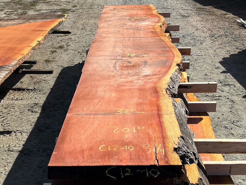 Giant Sequoia Live Edge Slab – 16.75' x 41" x 3.25" – Old Growth, Air-Dried – #C12-10