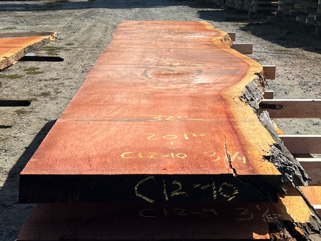 Giant Sequoia Live Edge Slab – 16.75' x 41" x 3.25" – Old Growth, Air-Dried – #C12-10