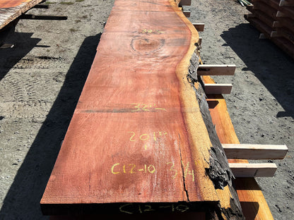 Giant Sequoia Live Edge Slab – 16.75' x 41" x 3.25" – Old Growth, Air-Dried – #C12-10