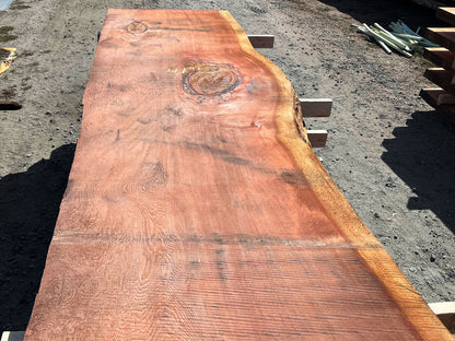 Giant Sequoia Live Edge Slab – 16.75' x 41" x 3.25" – Old Growth, Air-Dried – #C12-10