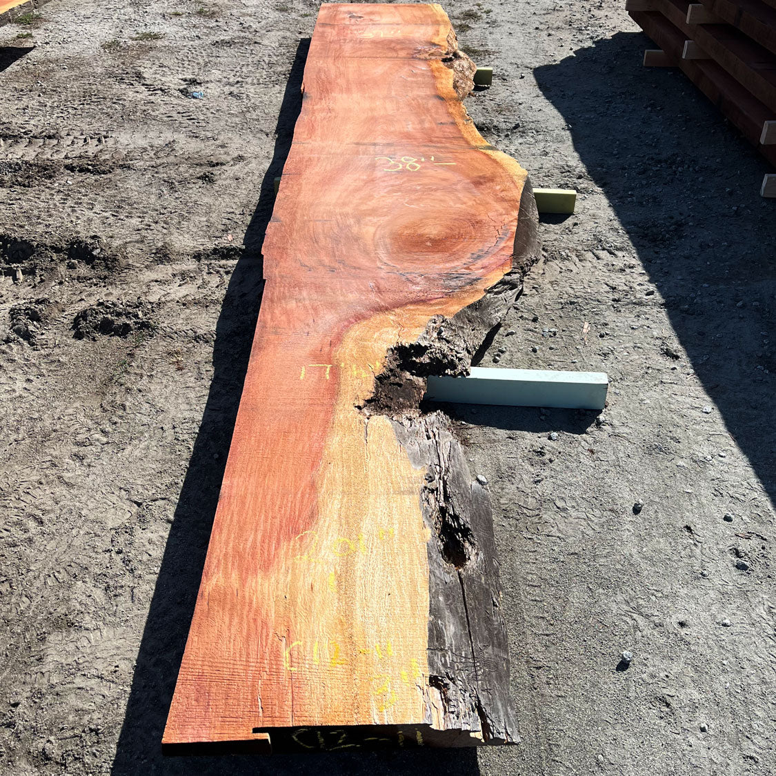 Giant Sequoia Live Edge Slab – 16.75' x 38" x 3" – Old Growth, Air-Dried – #C12-11