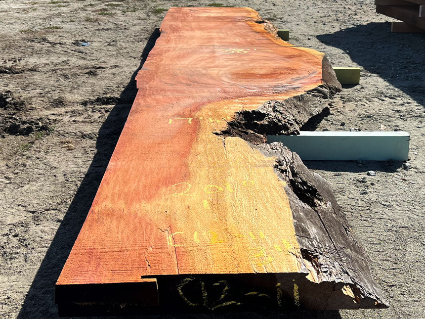 Giant Sequoia Live Edge Slab – 16.75' x 38" x 3" – Old Growth, Air-Dried – #C12-11
