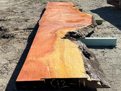 Giant Sequoia Live Edge Slab – 16.75' x 38" x 3" – Old Growth, Air-Dried – #C12-11