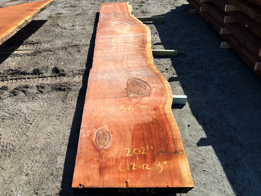 Giant Sequoia Live Edge Slab – 16.83' x 38" x 3" – Old Growth, Air-Dried – #C12-12