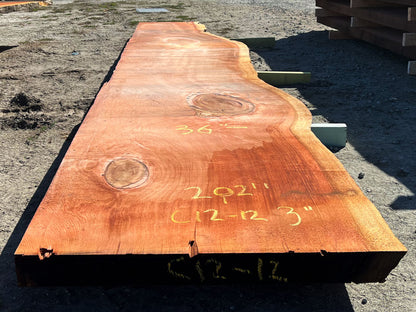 Giant Sequoia Live Edge Slab – 16.83' x 38" x 3" – Old Growth, Air-Dried – #C12-12