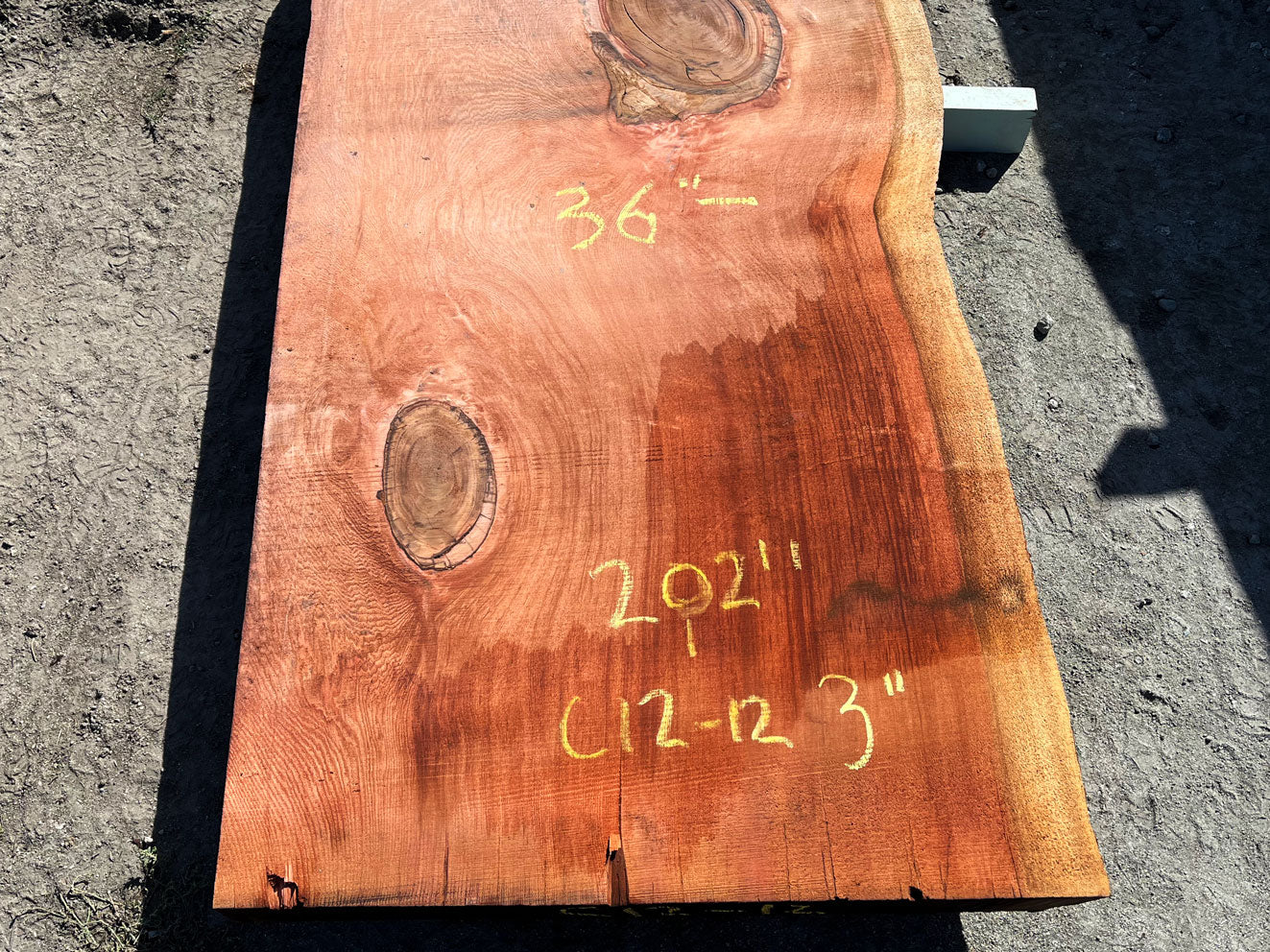 Giant Sequoia Live Edge Slab – 16.83' x 38" x 3" – Old Growth, Air-Dried – #C12-12