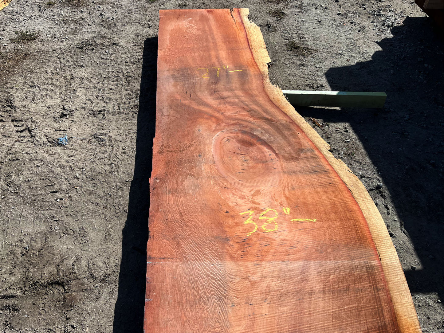 Giant Sequoia Live Edge Slab – 16.83' x 38" x 3" – Old Growth, Air-Dried – #C12-12