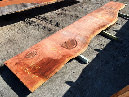 Giant Sequoia Live Edge Slab – 16.83' x 38" x 3" – Old Growth, Air-Dried – #C12-12