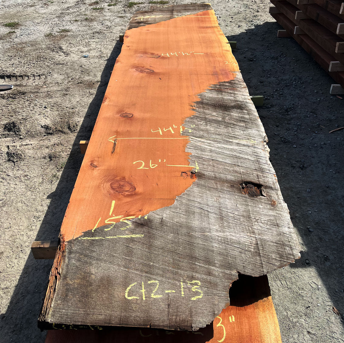 Giant Sequoia Live Edge Slab – 12.92' x 44.5" x 1.5" – Old Growth, Air-Dried – #C12-13