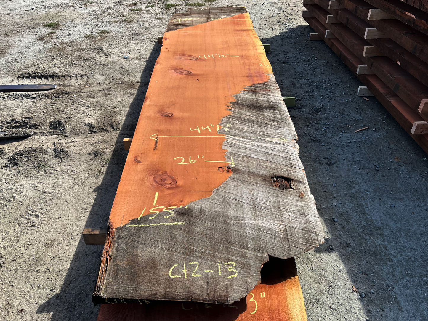 Giant Sequoia Live Edge Slab – 12.92' x 44.5" x 1.5" – Old Growth, Air-Dried – #C12-13