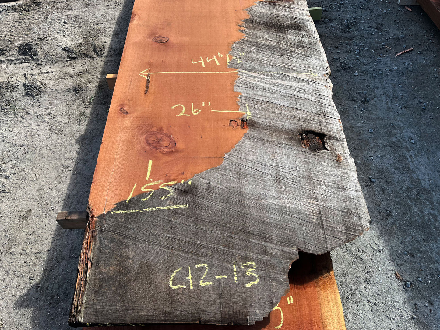Giant Sequoia Live Edge Slab – 12.92' x 44.5" x 1.5" – Old Growth, Air-Dried – #C12-13