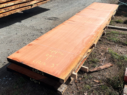 Giant Sequoia Live Edge Slab – 16.75' x 44.5" x 3" – Old Growth, Air-Dried – #C12-2
