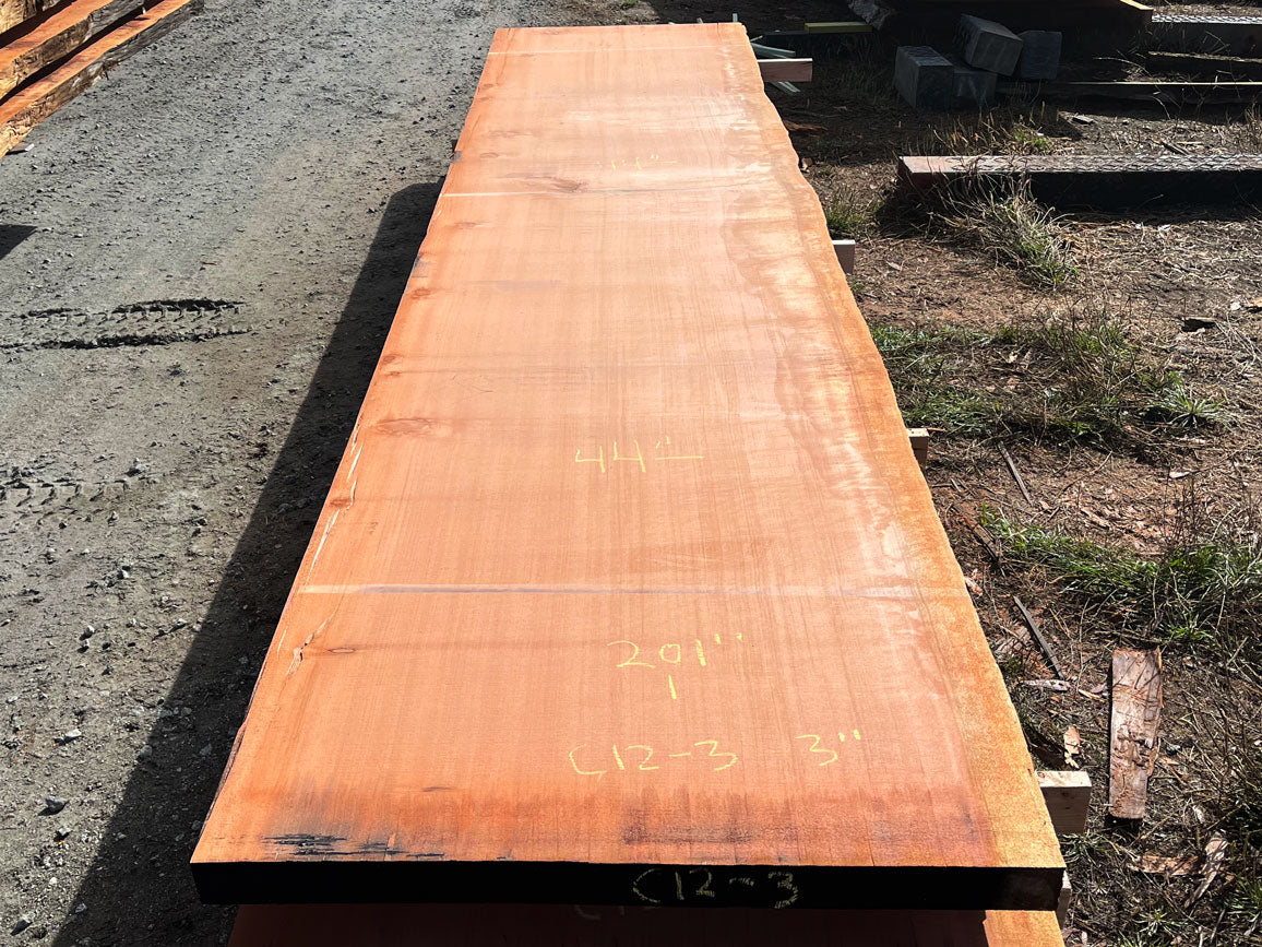 Giant Sequoia Live Edge Slab – 16.75' x 44" x 3" – Old Growth, Air-Dried – #C12-3