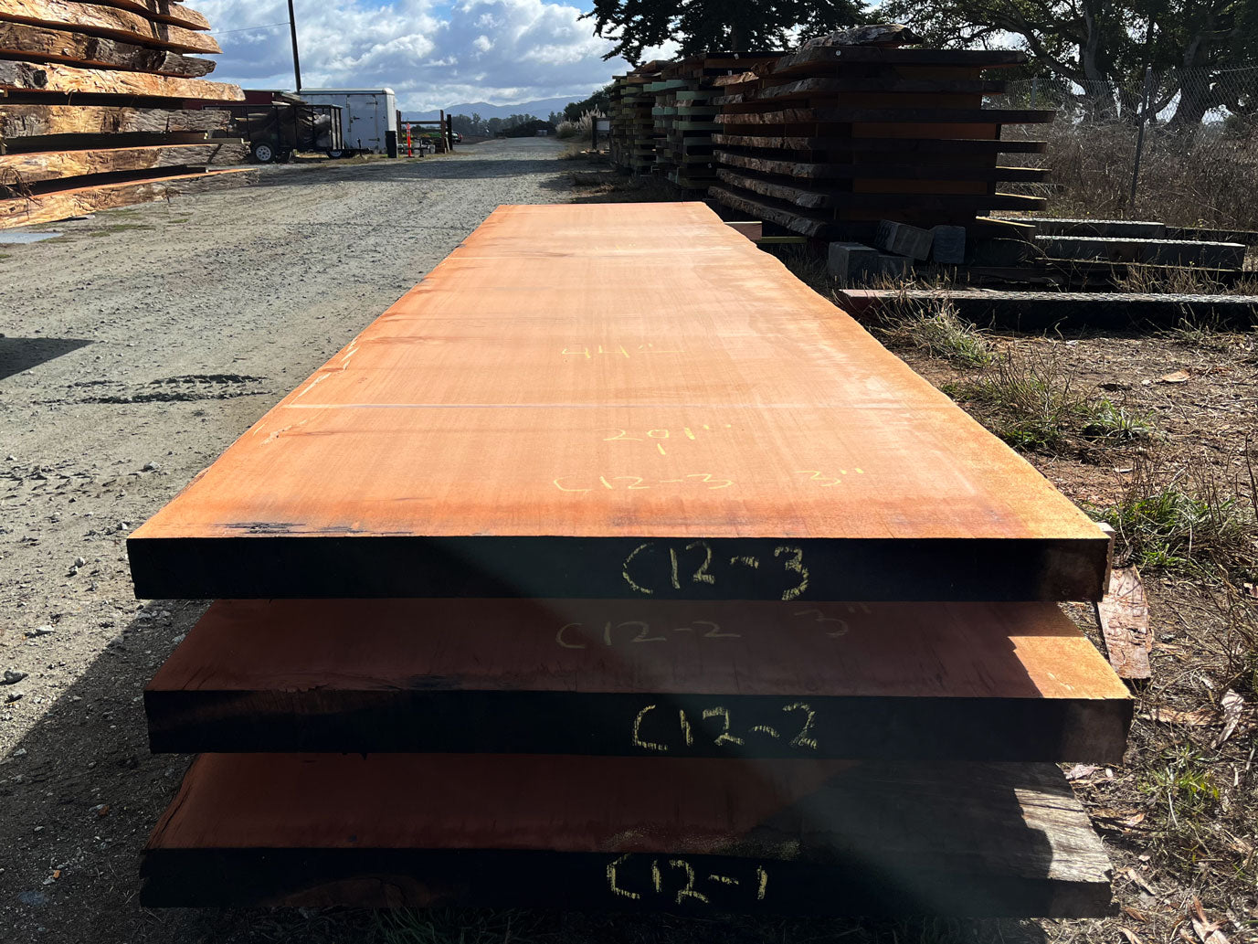 Giant Sequoia Live Edge Slab – 16.75' x 44" x 3" – Old Growth, Air-Dried – #C12-3