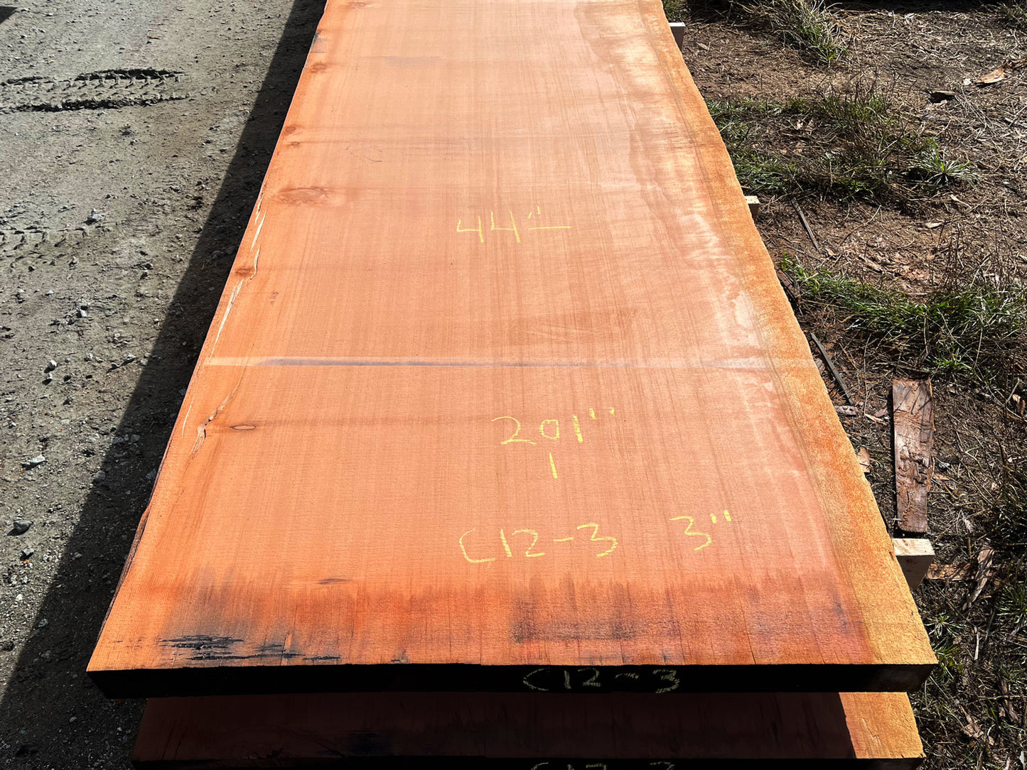 Giant Sequoia Live Edge Slab – 16.75' x 44" x 3" – Old Growth, Air-Dried – #C12-3