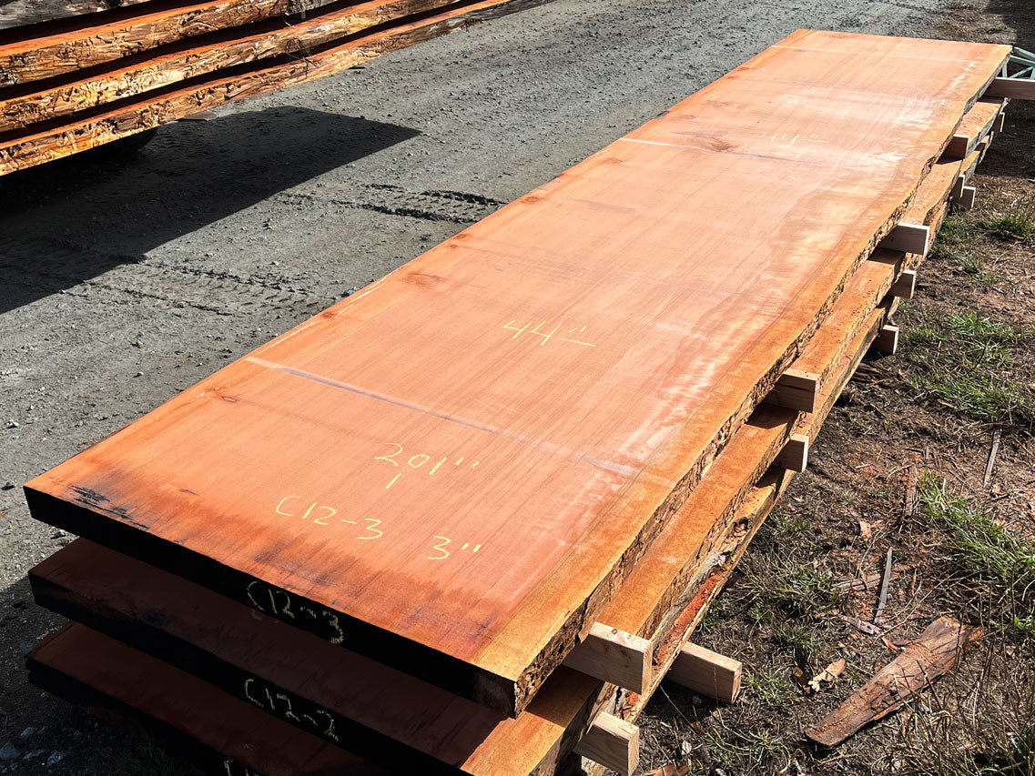 Giant Sequoia Live Edge Slab – 16.75' x 44" x 3" – Old Growth, Air-Dried – #C12-3