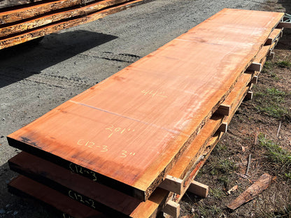 Giant Sequoia Live Edge Slab – 16.75' x 44" x 3" – Old Growth, Air-Dried – #C12-3