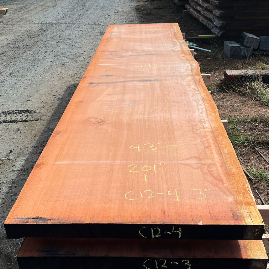 Giant Sequoia Live Edge Slab – 16.75' x 44" x 3" – Old Growth, Air-Dried – #C12-4