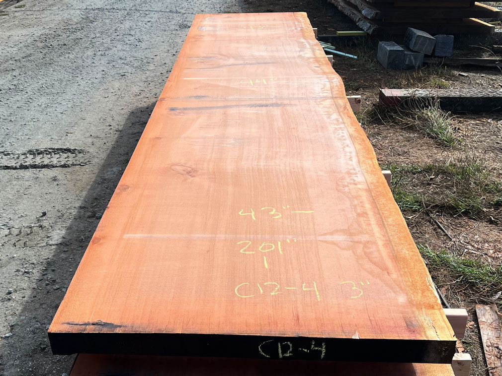 Giant Sequoia Live Edge Slab – 16.75' x 44" x 3" – Old Growth, Air-Dried – #C12-4