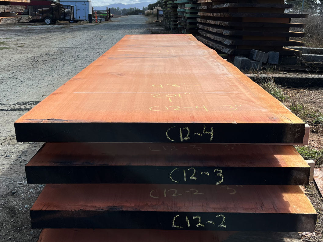 Giant Sequoia Live Edge Slab – 16.75' x 44" x 3" – Old Growth, Air-Dried – #C12-4