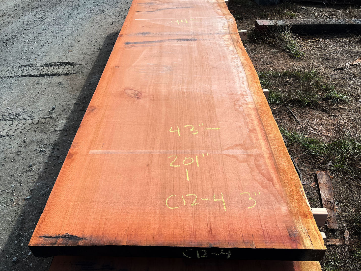Giant Sequoia Live Edge Slab – 16.75' x 44" x 3" – Old Growth, Air-Dried – #C12-4