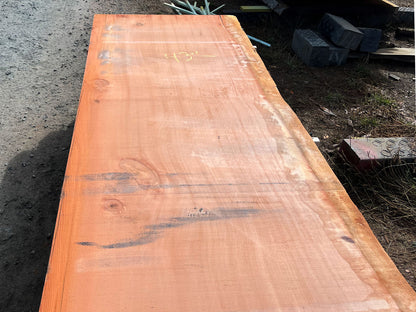 Giant Sequoia Live Edge Slab – 16.75' x 44" x 3" – Old Growth, Air-Dried – #C12-4