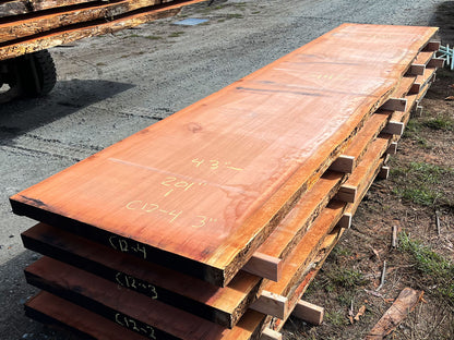 Giant Sequoia Live Edge Slab – 16.75' x 44" x 3" – Old Growth, Air-Dried – #C12-4