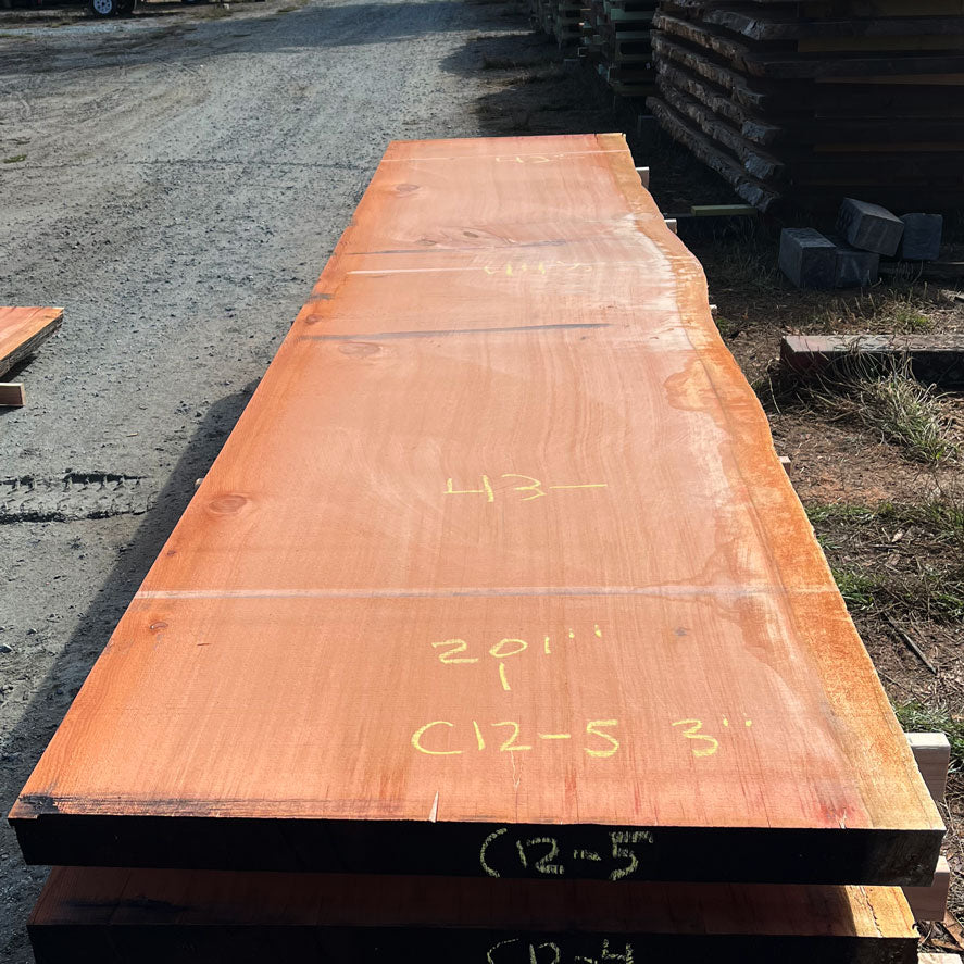 Giant Sequoia Live Edge Slab – 16.75' x 44.5" x 3" – Old Growth, Air-Dried – #C12-5