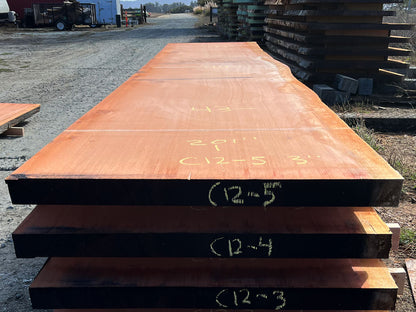 Giant Sequoia Live Edge Slab – 16.75' x 44.5" x 3" – Old Growth, Air-Dried – #C12-5