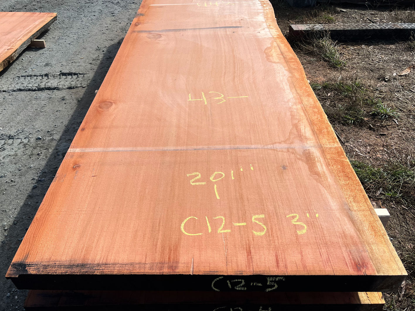 Giant Sequoia Live Edge Slab – 16.75' x 44.5" x 3" – Old Growth, Air-Dried – #C12-5