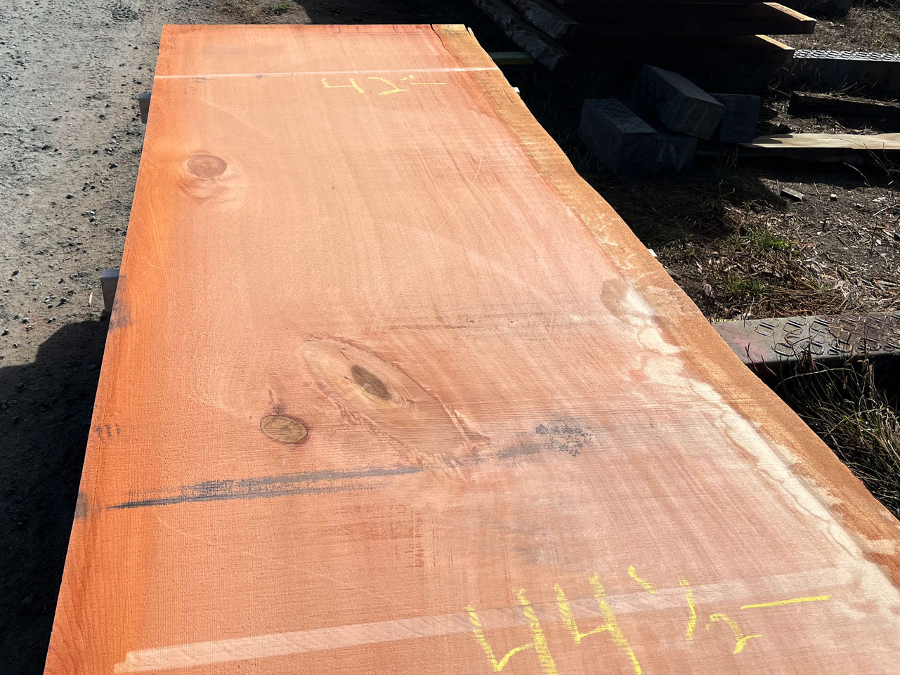 Giant Sequoia Live Edge Slab – 16.75' x 44.5" x 3" – Old Growth, Air-Dried – #C12-5