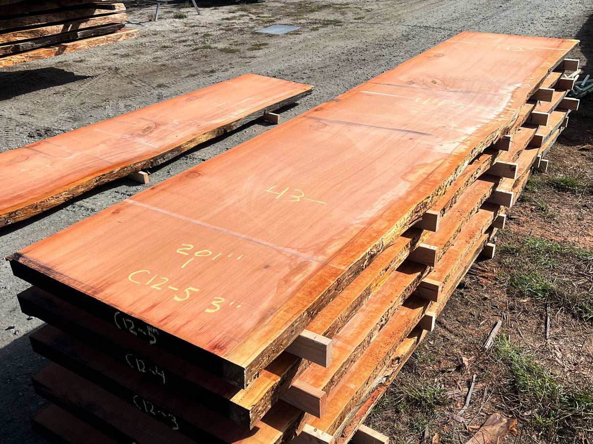Giant Sequoia Live Edge Slab – 16.75' x 44.5" x 3" – Old Growth, Air-Dried – #C12-5
