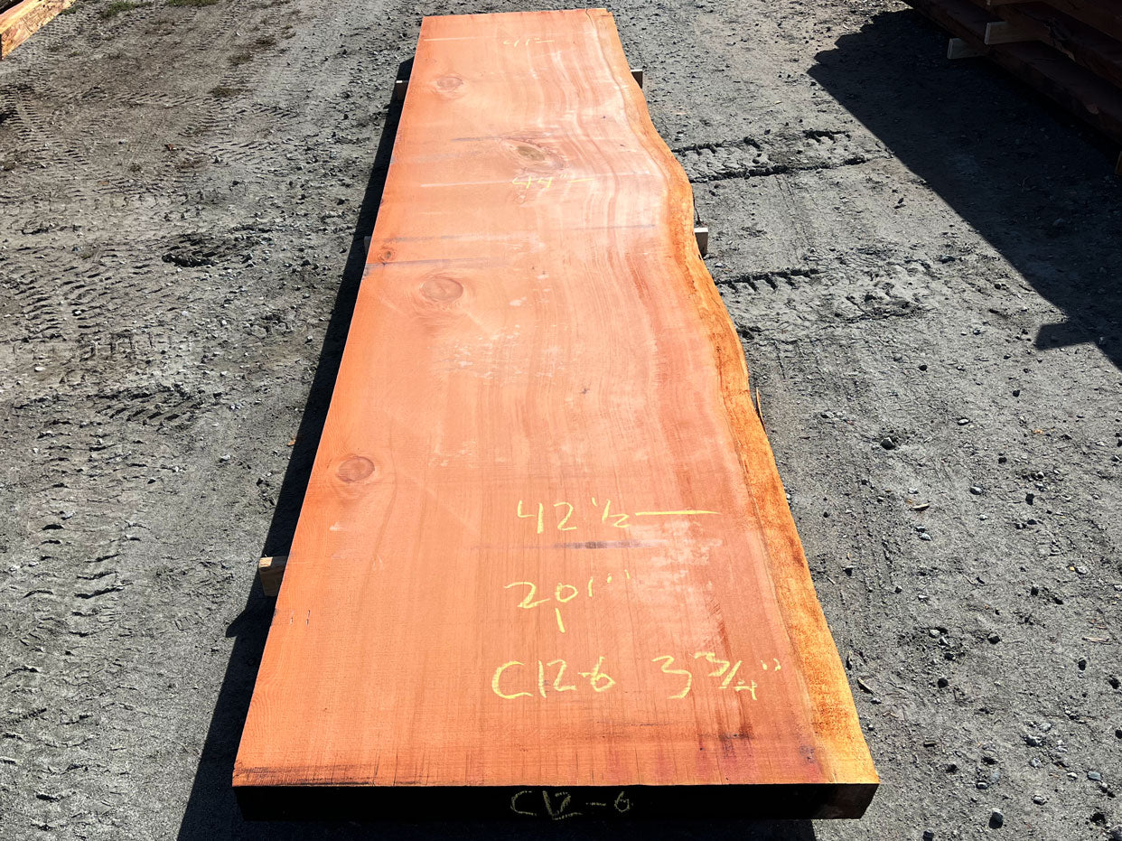Giant Sequoia Live Edge Slab – 16.75' x 44" x 3.75" – Old Growth, Air-Dried – #C12-6