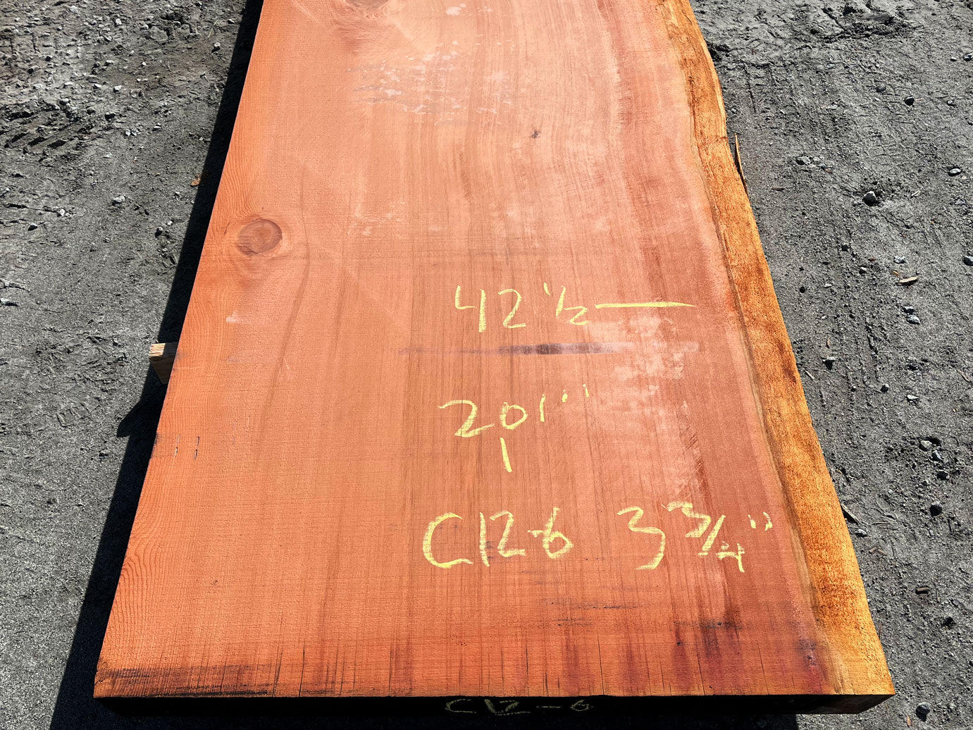 Giant Sequoia Live Edge Slab – 16.75' x 44" x 3.75" – Old Growth, Air-Dried – #C12-6