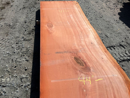 Giant Sequoia Live Edge Slab – 16.75' x 44" x 3.75" – Old Growth, Air-Dried – #C12-6