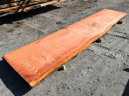 Giant Sequoia Live Edge Slab – 16.75' x 44" x 3.75" – Old Growth, Air-Dried – #C12-6