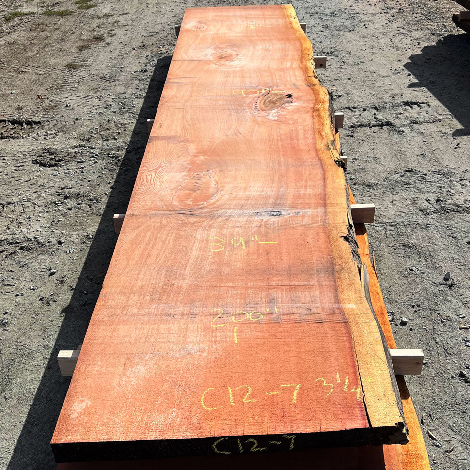 Giant Sequoia Live Edge Slab – 16.75' x 43" x 3.25" – Old Growth, Air-Dried – #C12-7