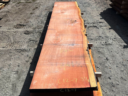 Giant Sequoia Live Edge Slab – 16.75' x 43" x 3.25" – Old Growth, Air-Dried – #C12-7