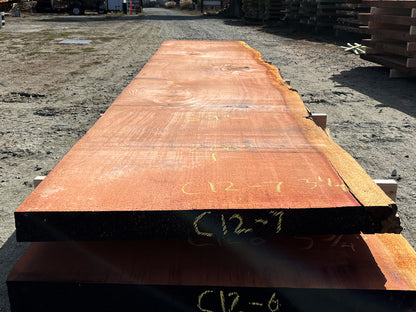 Giant Sequoia Live Edge Slab – 16.75' x 43" x 3.25" – Old Growth, Air-Dried – #C12-7