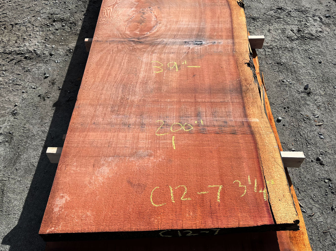 Giant Sequoia Live Edge Slab – 16.75' x 43" x 3.25" – Old Growth, Air-Dried – #C12-7