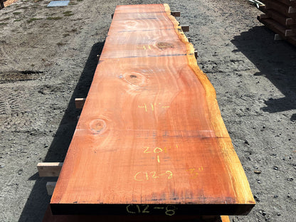 Giant Sequoia Live Edge Slab – 16.75' x 41" x 3" – Old Growth, Air-Dried – #C12-8