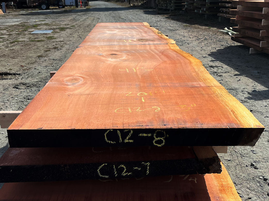 Giant Sequoia Live Edge Slab – 16.75' x 41" x 3" – Old Growth, Air-Dried – #C12-8