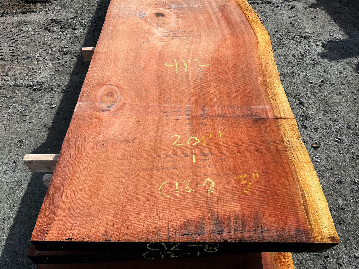 Giant Sequoia Live Edge Slab – 16.75' x 41" x 3" – Old Growth, Air-Dried – #C12-8
