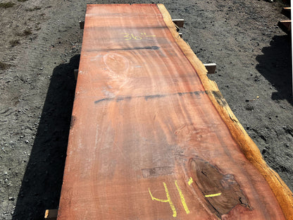 Giant Sequoia Live Edge Slab – 16.75' x 41" x 3" – Old Growth, Air-Dried – #C12-8