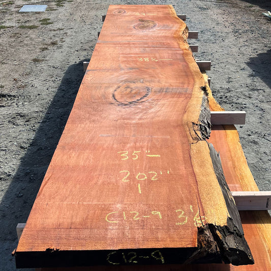 Giant Sequoia Live Edge Slab – 16.83' x 39" x 3.125" – Old Growth, Air-Dried – #C12-9