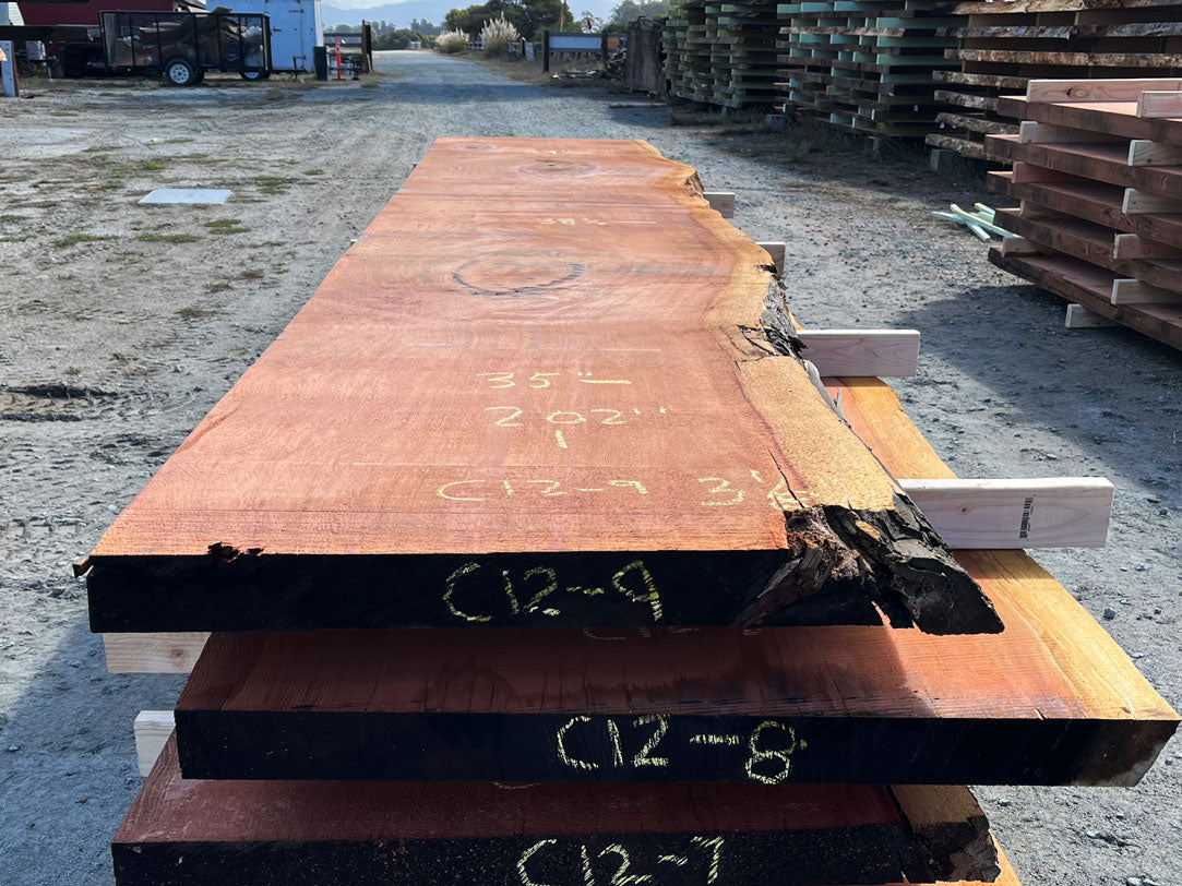 Giant Sequoia Live Edge Slab – 16.83' x 39" x 3.125" – Old Growth, Air-Dried – #C12-9