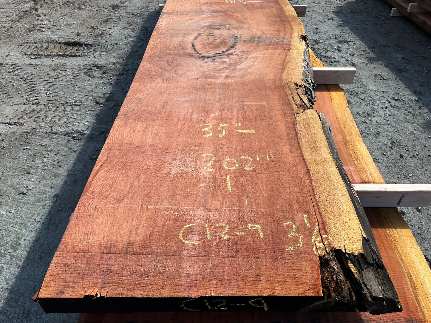 Giant Sequoia Live Edge Slab – 16.83' x 39" x 3.125" – Old Growth, Air-Dried – #C12-9